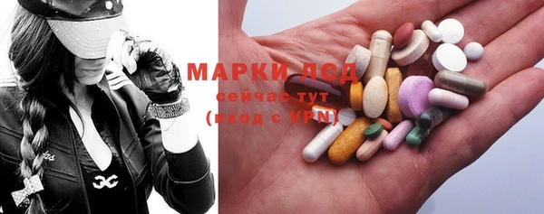 крисы Баксан