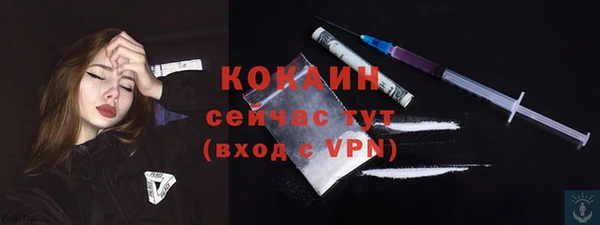 крисы Баксан