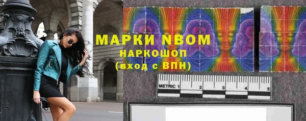 крисы Баксан