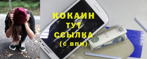 крисы Баксан