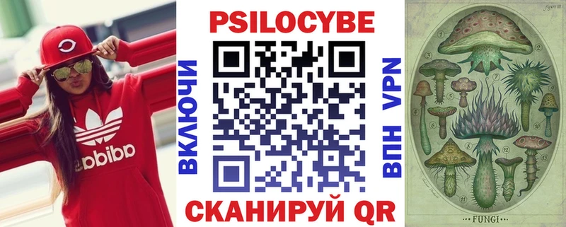 Псилоцибиновые грибы Psilocybe цены наркотик Вольск